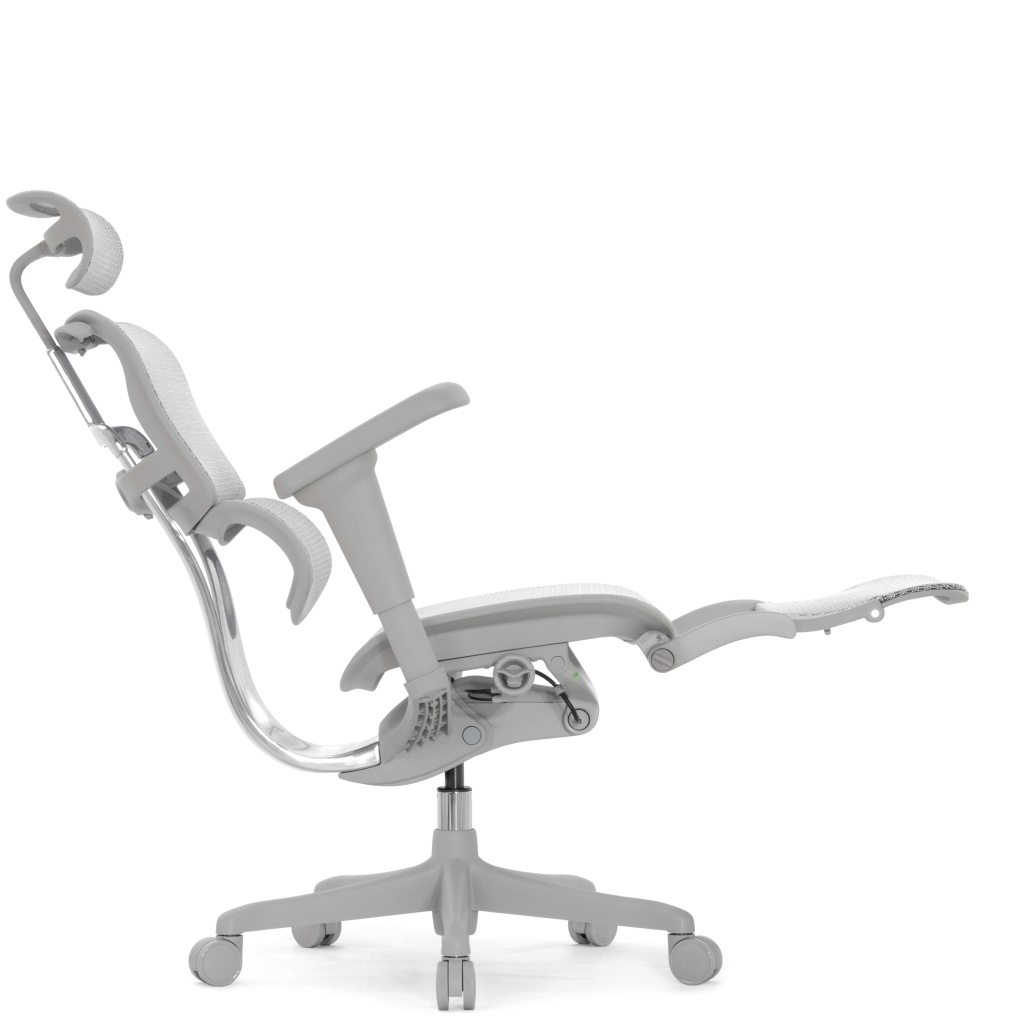 ehu_ag_ham_4d_lm_ch_082_fnc.jpg ehu_ag_ham_4d_lm_ch_082_fnc.jpg