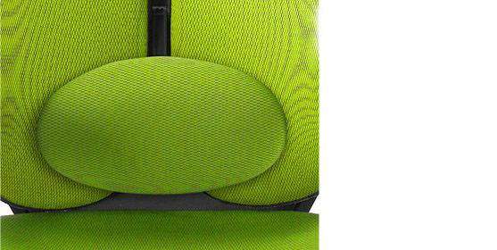 health-made-lumbar_b.jpg health-made-lumbar_b.jpg